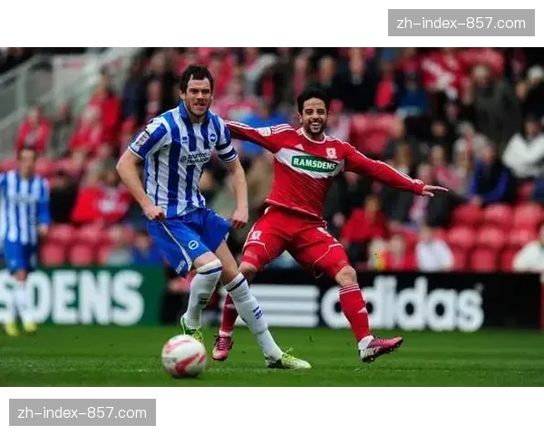 “战报：卢顿0-3布莱顿，海鸥军团客场三球均来自快速转换”