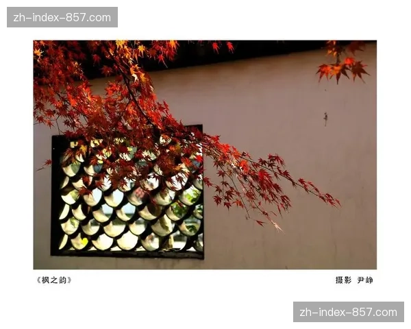 背景挖掘：多家俱乐部联合投诉，VAR回放中心音频泄露事件背后的第三方承包商